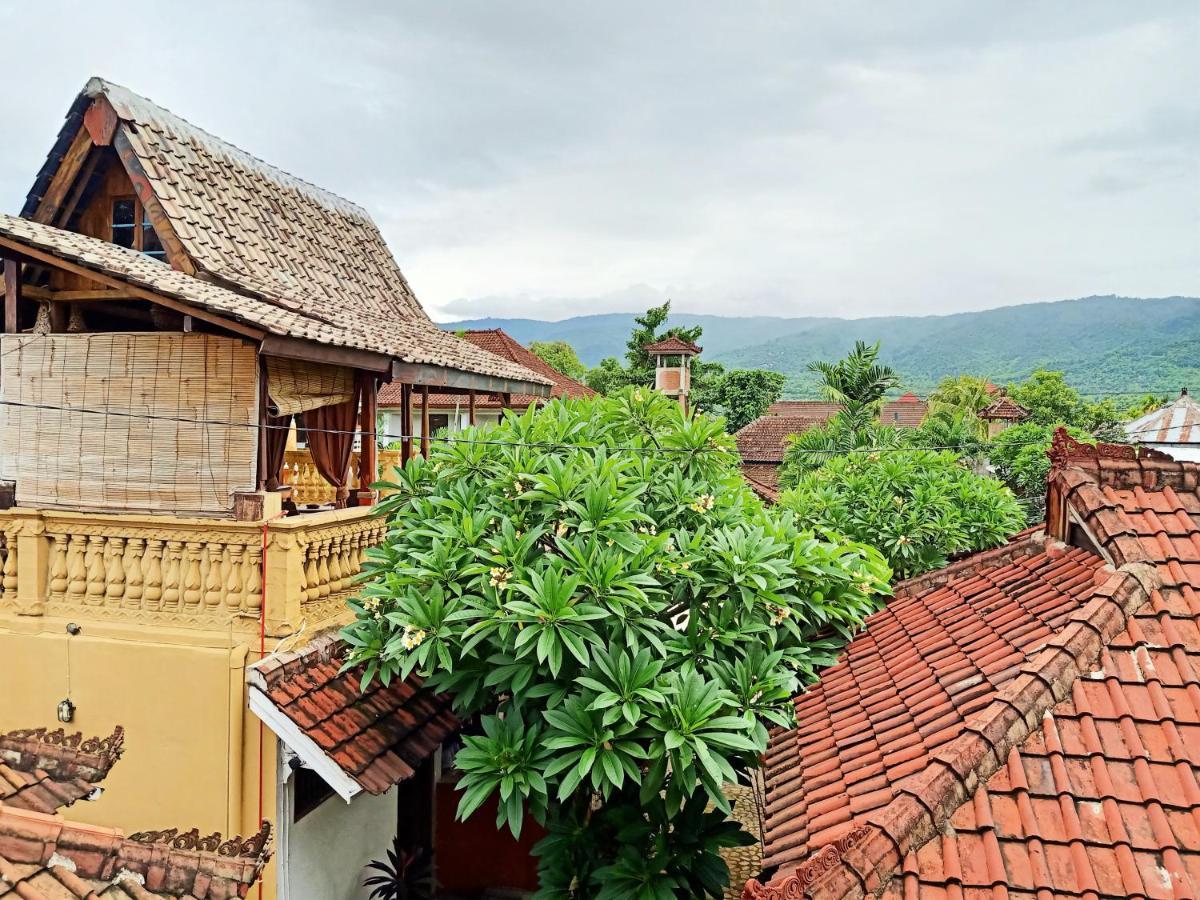 Binaria Museum Hotel Lovina Zewnętrze zdjęcie